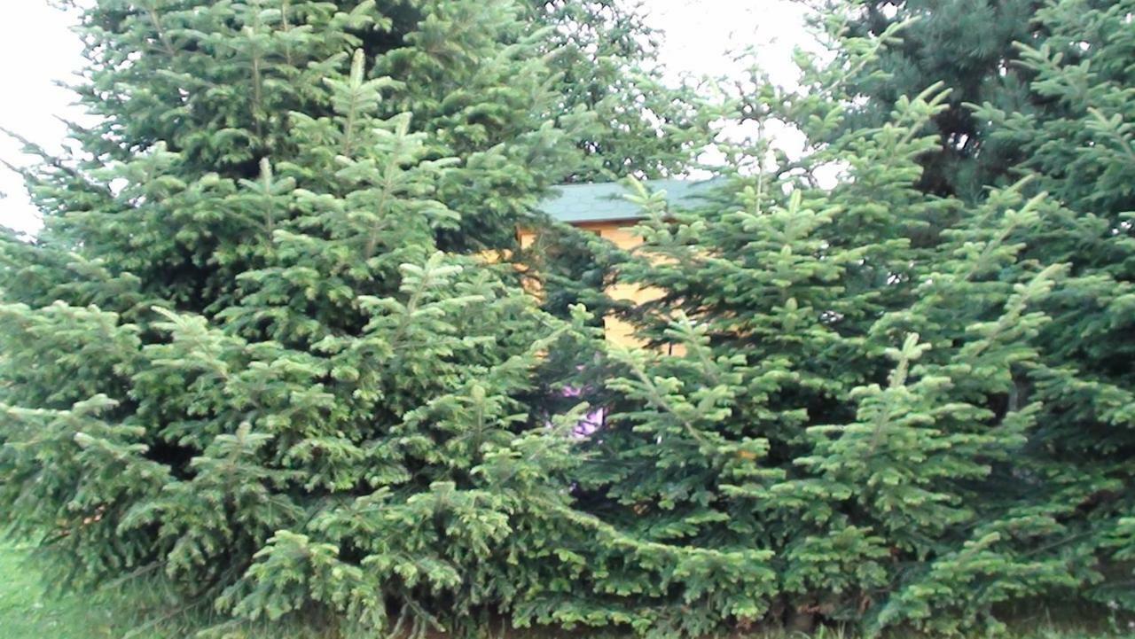 Willa Natura Gliczarów Exterior foto